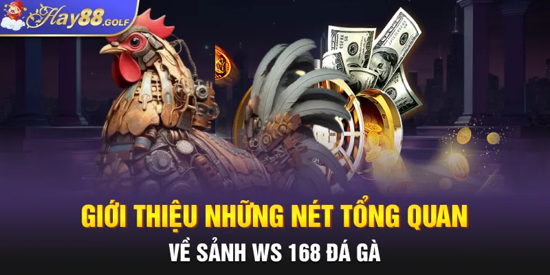Giới thiệu những nét tổng quan về sảnh Ws 168 Đá gà