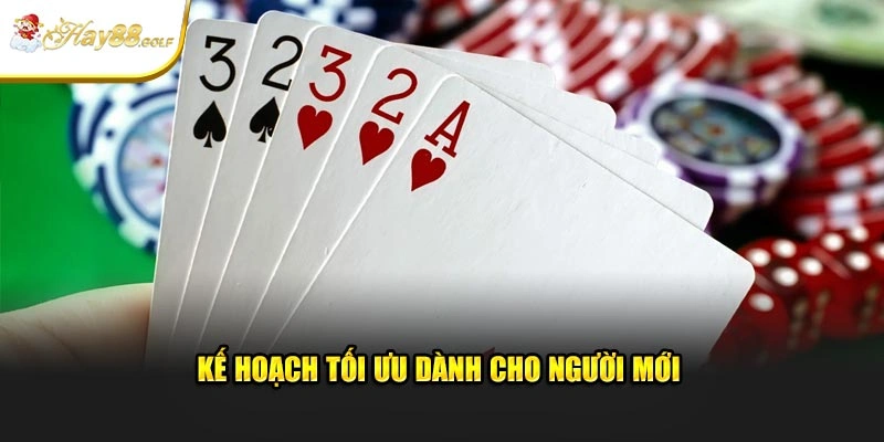 Kế hoạch tối ưu dành cho người mới