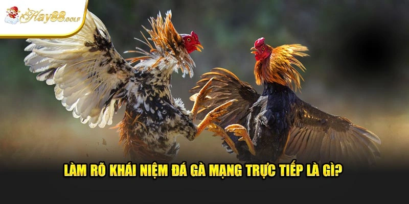 Làm rõ khái niệm đá gà mạng trực tiếp là gì?