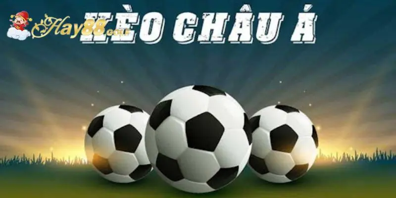 Cược châu Á luôn là sự lựa chọn hàng đầu của những tay chơi lão làng