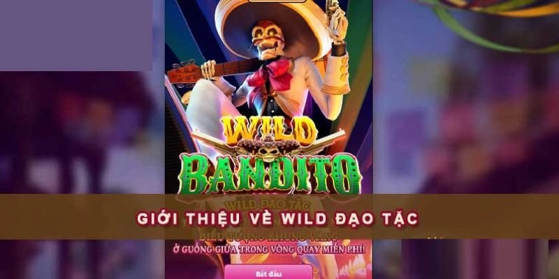 Wild đạo tặc: hành trình khám phá thế giới phiêu lưu đầy thú vị